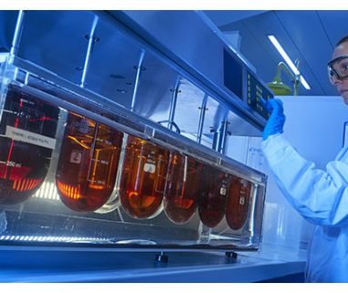 La FDA premia IBSA: confermata l'eccellenza dei nostri standard