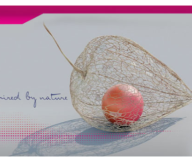 La scelta di IBSA nella fertilità: il modello naturale