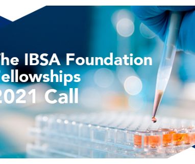 2021 IBSA Foundation Fellowships - Call for submissions for the 9th edition to award top international projects by researchers under 40