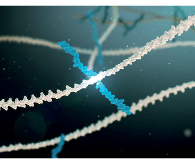 Leading innovation in viscosupplementation: NAHYCO® HYBRID TECHNOLOGY 