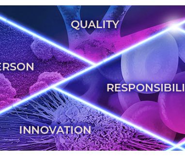 ‘Shaping the future of human possibilities': IBSA's vision evolves and its new website reflects the change