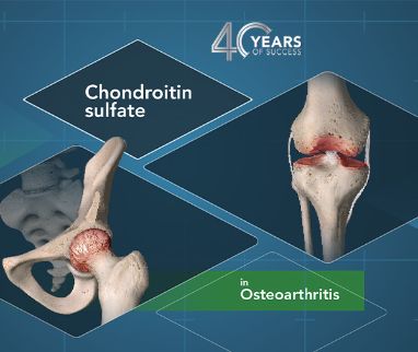 Chondroitin sulphate: an IBSA success story