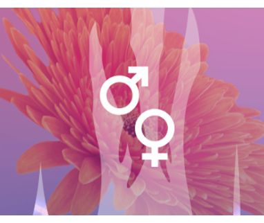 IBSA at the 24th edition of the ESSM